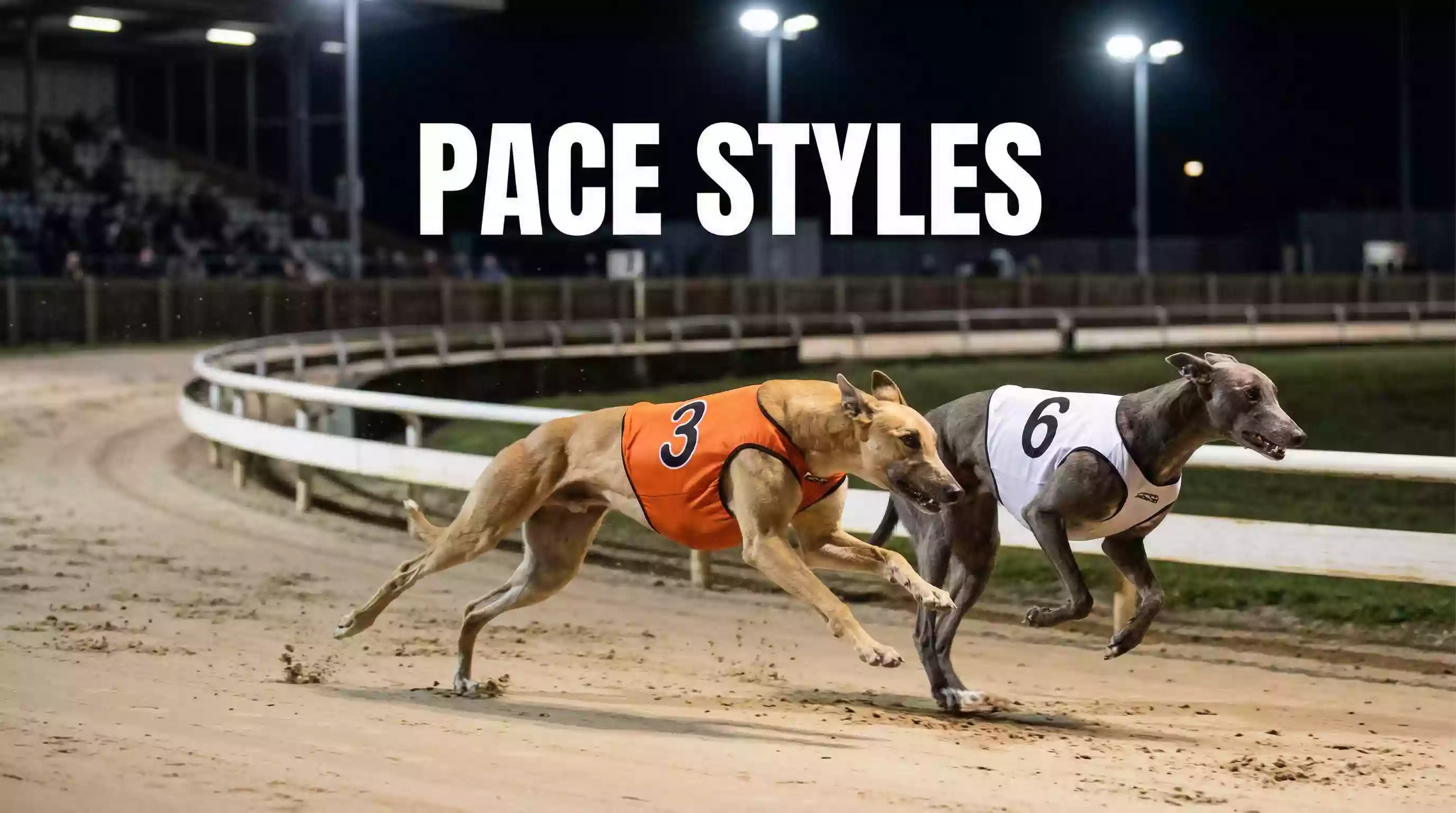 Two greyhounds racing side by side on a sand track with one leading at the bend