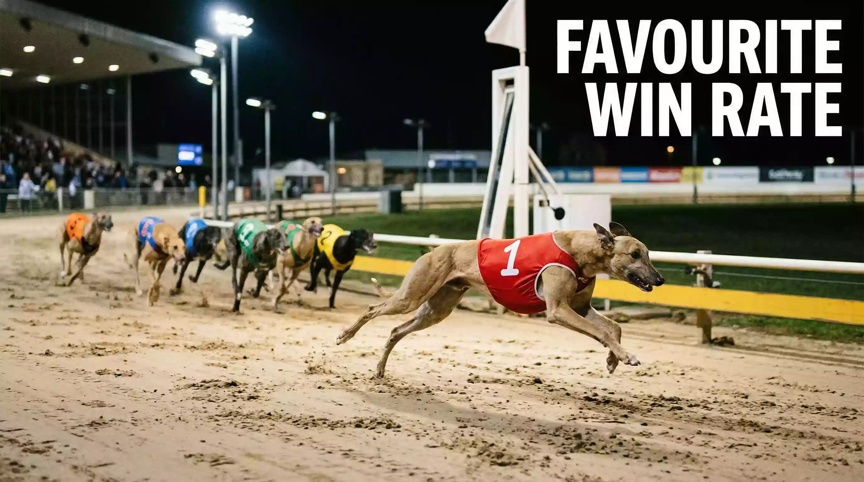 Single greyhound leading the pack approaching the finish line on a sand track