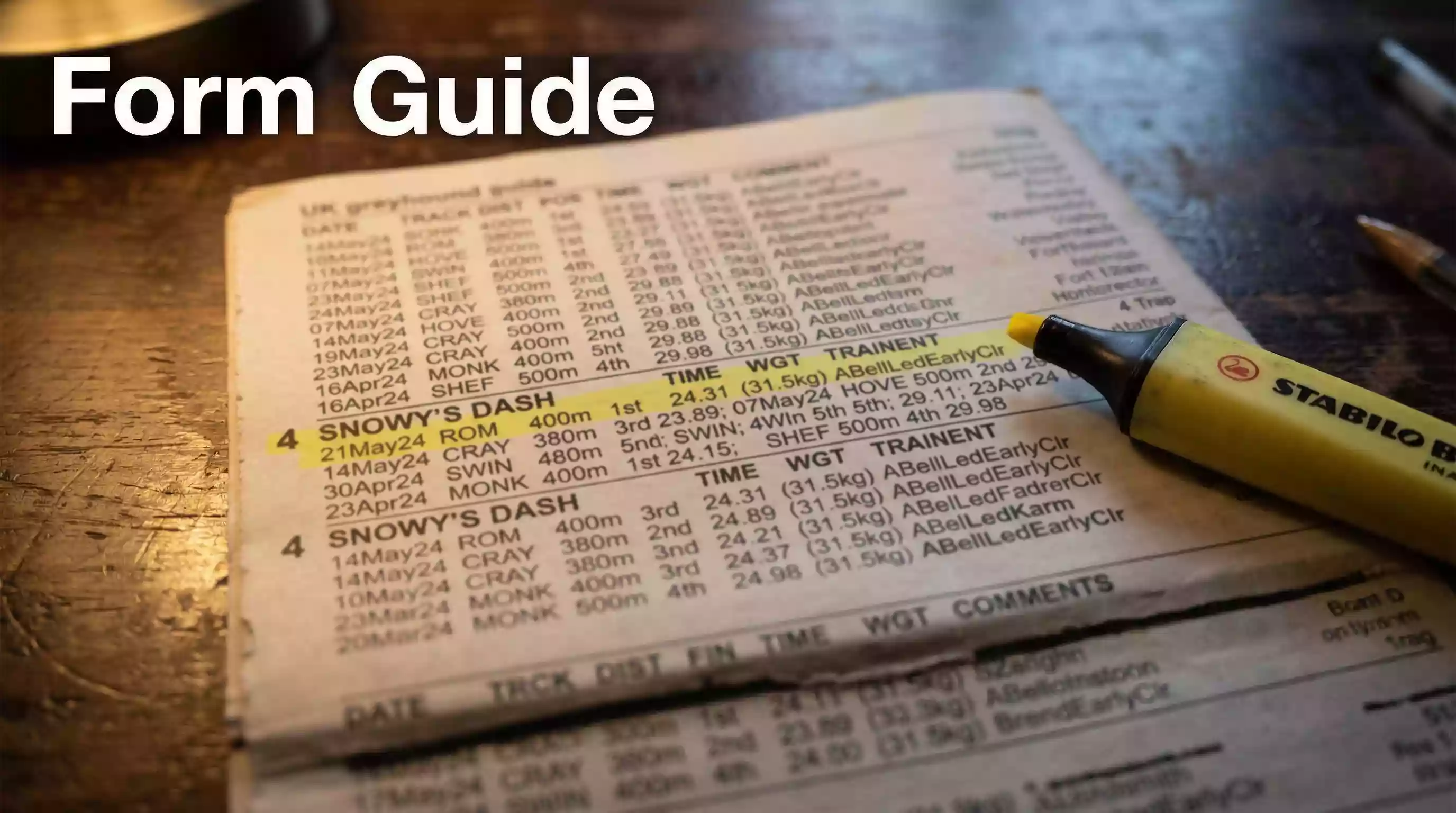 Greyhound racecard form page with past six runs and times visible