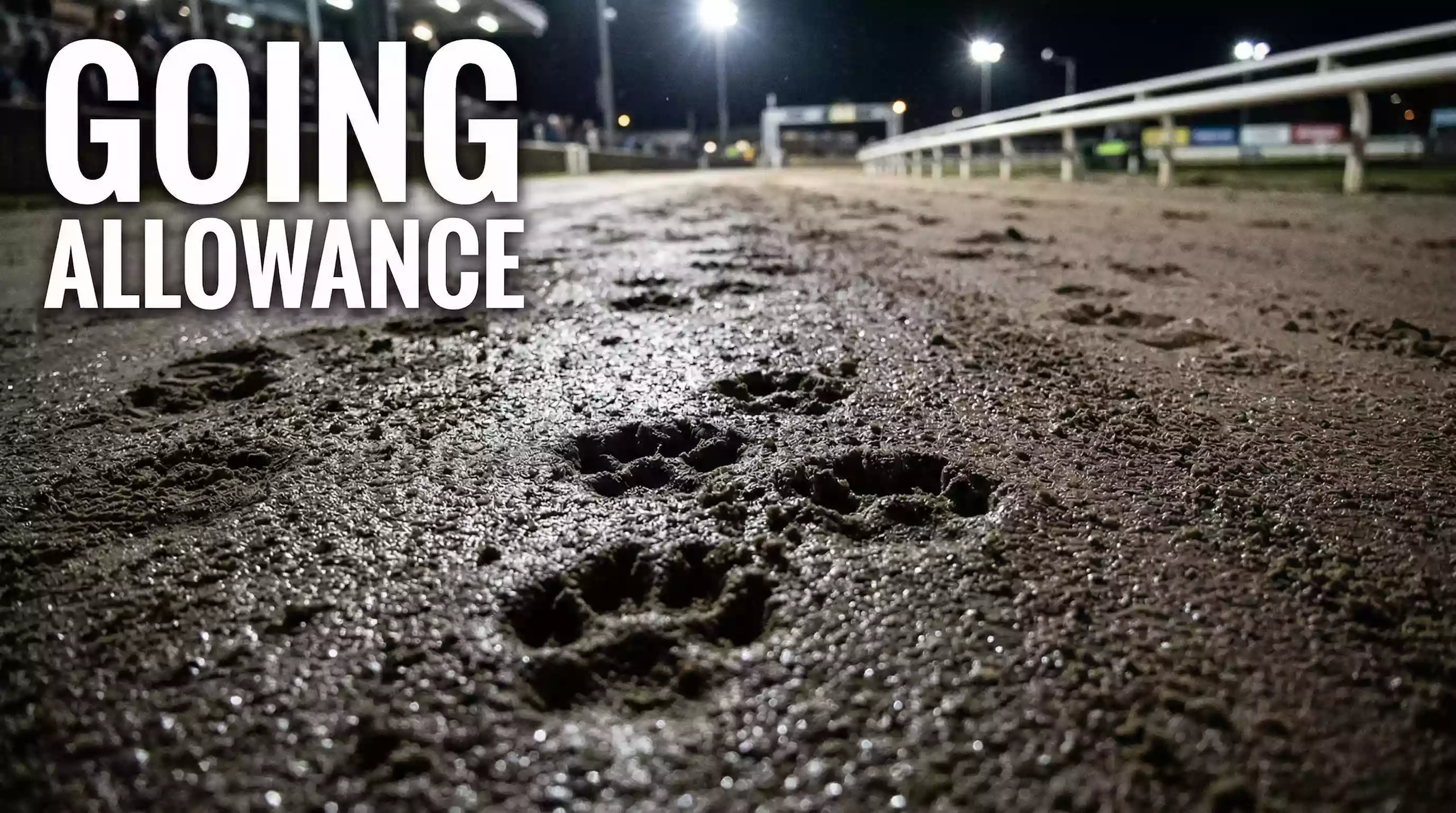 Close-up of a damp sand greyhound racing track surface with paw prints