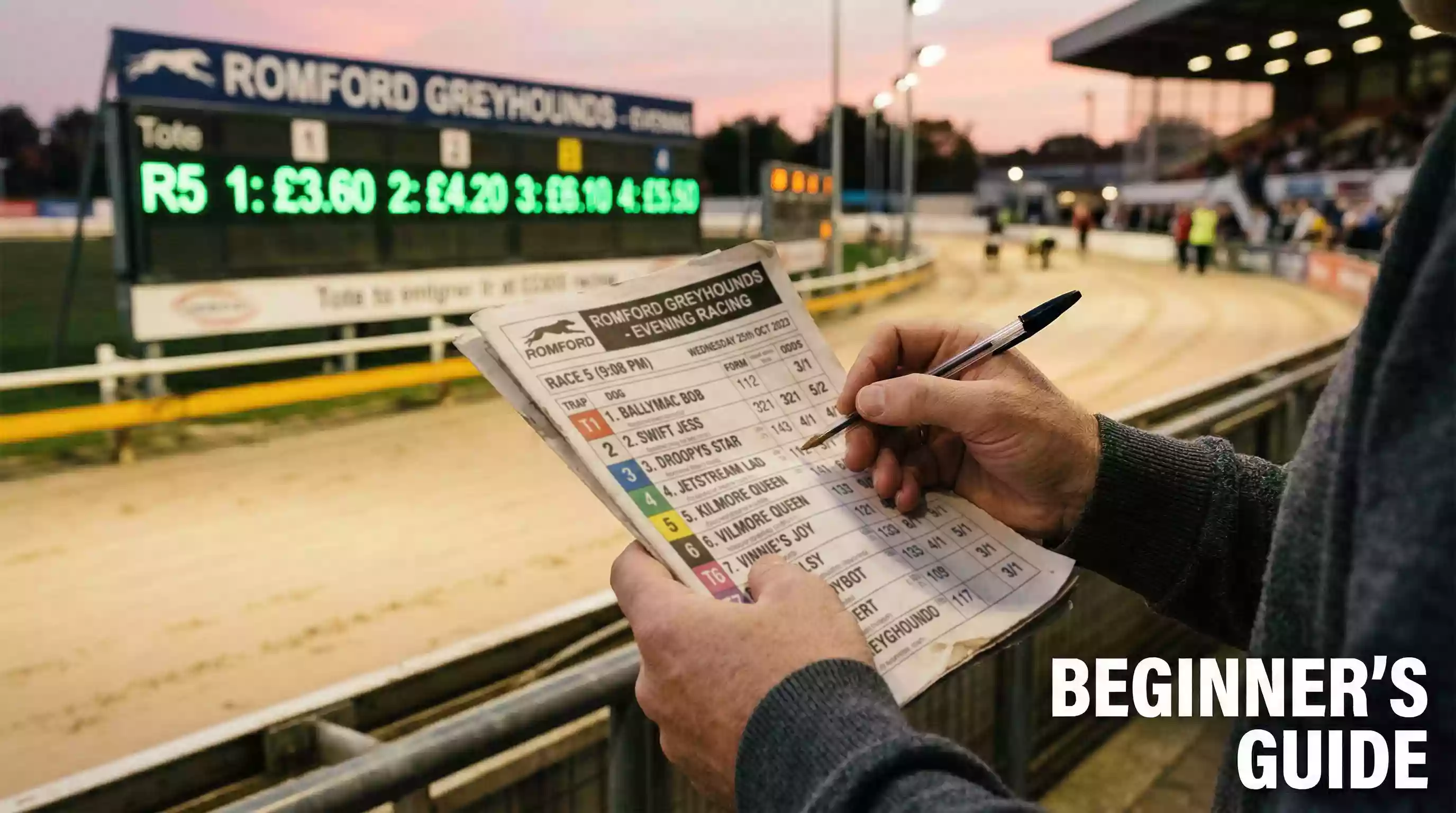 Person holding a greyhound racing programme and pen at a stadium