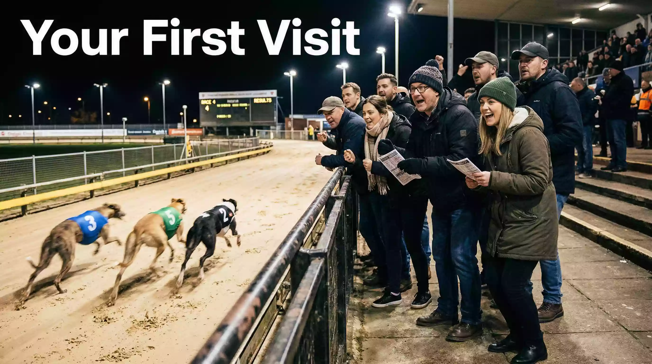 Crowd watching greyhounds race under floodlights from the trackside terrace