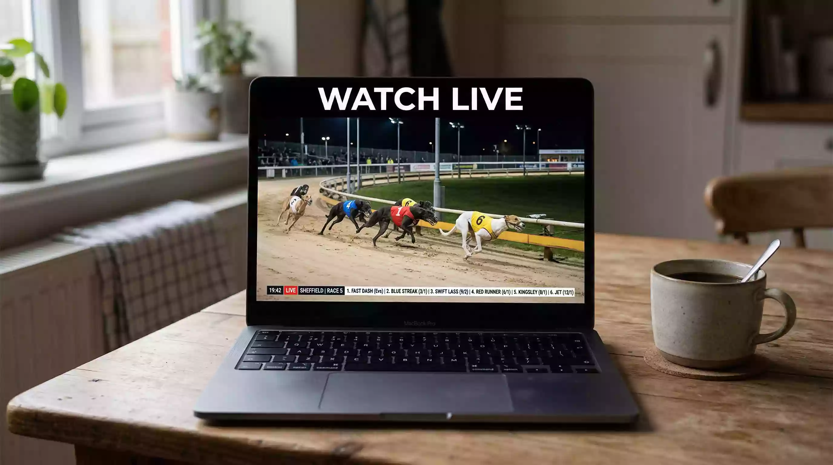 Laptop screen showing a live greyhound race stream with the track visible