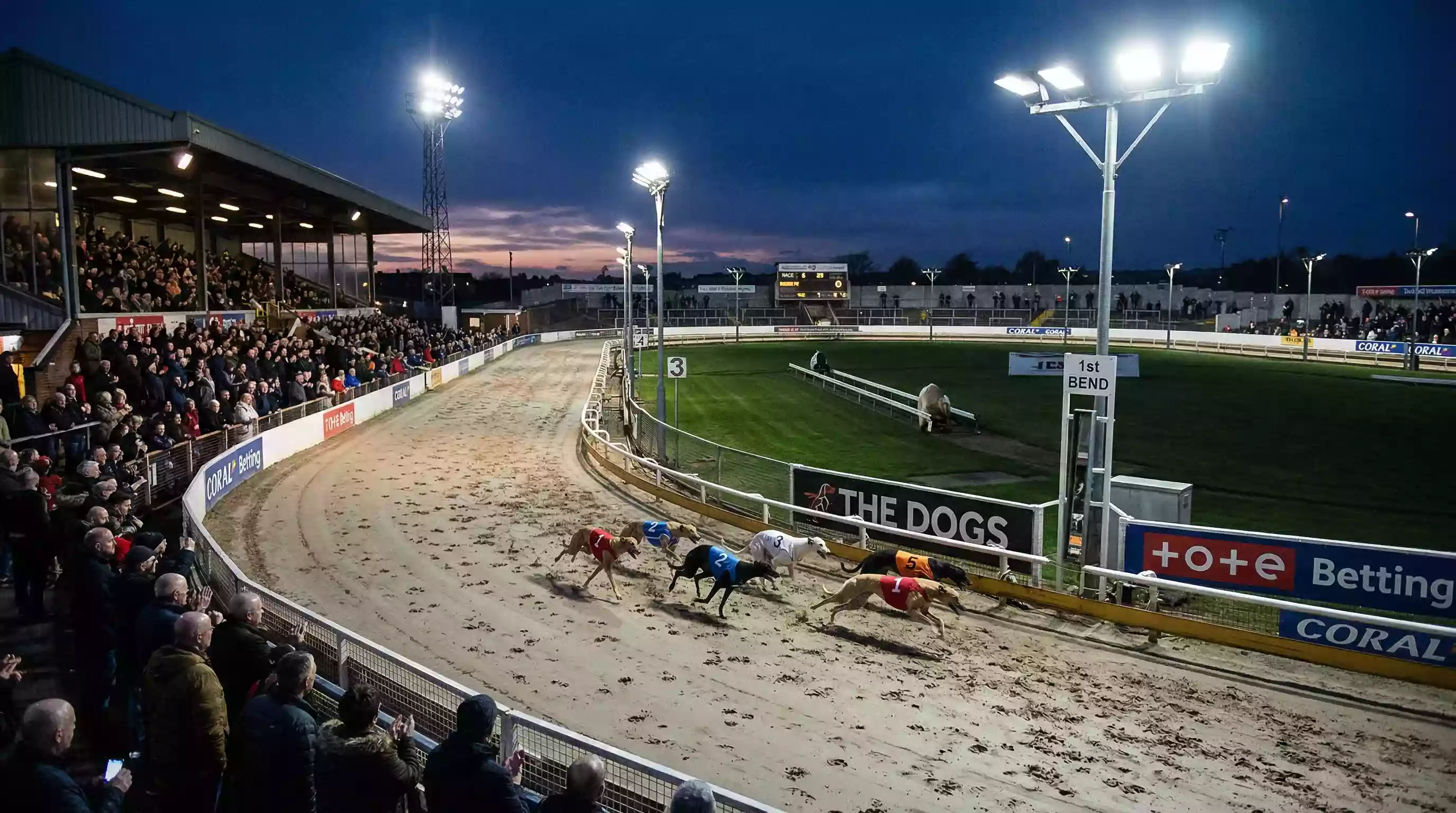 Sunderland greyhound stadium during an evening race meeting with floodlights illuminating the track